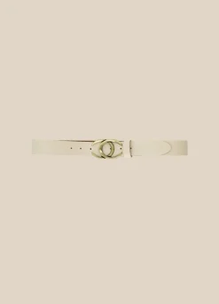 Crocodile Effect Belt